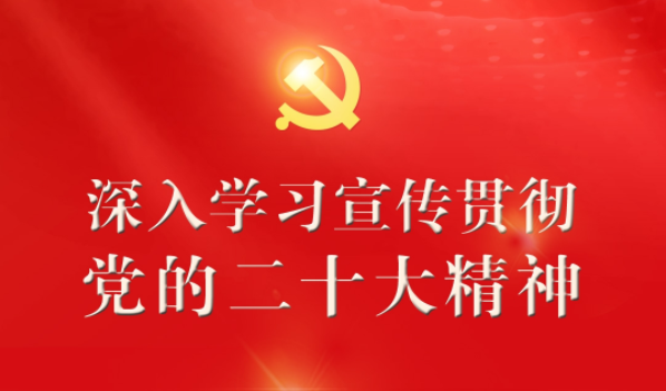 王祥喜：坚决落实坚持和加强党中央集中统一领导 以昂扬状态务实作风全力抓好安全防范工作